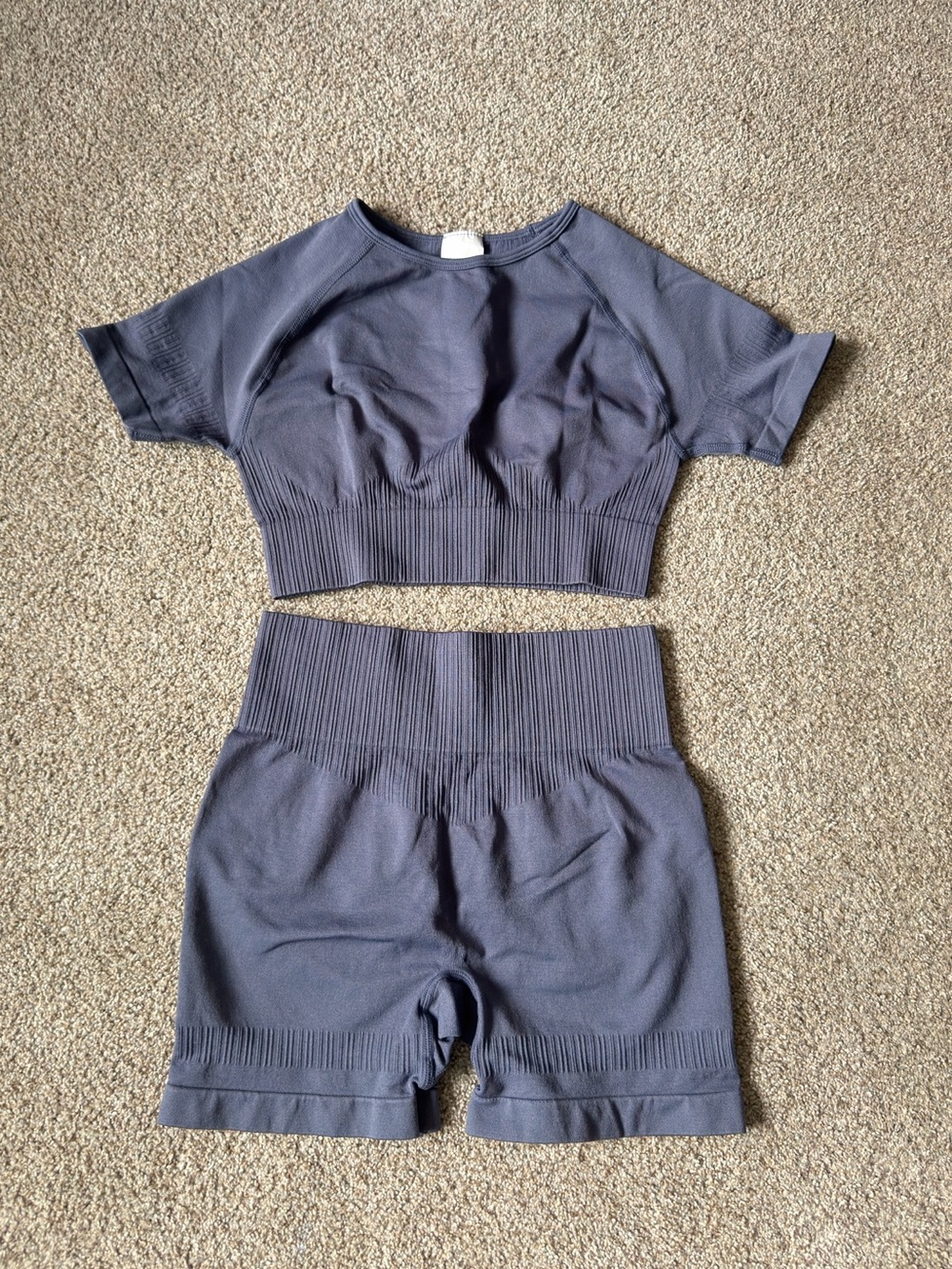 SHEIN Blue Ribbed Seamless Crop Top & High-Waist Shorts Set